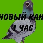 Слоновый Канкан Курлык Meme 1 Час