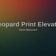 No Copyright Music Leopard Print Elevator By Kevin Macleod
