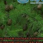 Ньурба Тусунан Ырыа