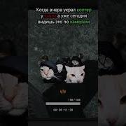 Мемы Раст Звук