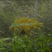 The Romance Of Rain Романтика Дождя Саксофон