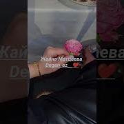 Жайна Матцаева Новая Песня