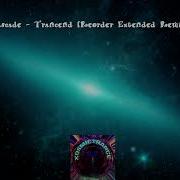 Cascade Transcend Reorder Remix Nocturnal Animals