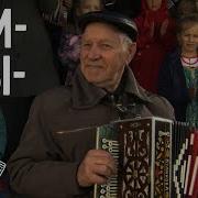 Вологодская Гармонь Александров
