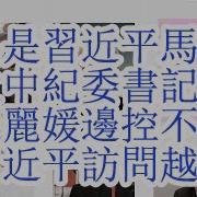 陆昊是习近平马仔 21大中纪委书记是谁 彭丽媛边控 不准陪同习近平访问越南