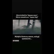 Жуйрык Болгын Келсе Ознд Камшыла