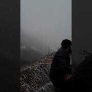 Вай Лаьмнашка Бух Дилуш Ду Шовданаш