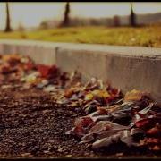 1 Hour Soft Guitar Music Autumn Feeling Relaxing Instrumental Guitar