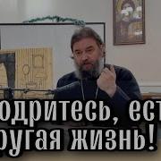 Yandex Проповеди Протоиерея Андрея Ткачева Слушать Онлайн Бесплатно