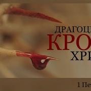 Драгоценная Кровь Христа Андрей П Чумакин