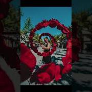 Flower Reverse Effect With Xiaomi Jordi Koalitic