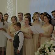 Ясные Добрые Звонкие Грустные На Свадьбу