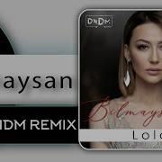 Lola Bilmaysan Dndm Remix Va Dndm Family