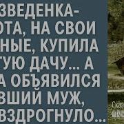 Поездка На Дачу К Мэру Измена Жены