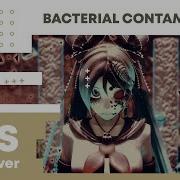 Bacterial Contamination Rus