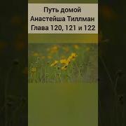 Путь Домой Голова 120 121 122