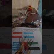 Не Зли Меня Пернатой А То В Лягуху Превращу