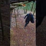 Кто То Ко Мне В Спину Ломится