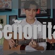 Senorita Shawn Mendes Camila Cabello Cover Fingerstyle Guitar