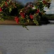 Скачать Ой Калина Ой Малина Под Гармонь