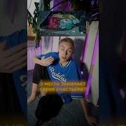 Грустные Мелодии Из Смешариков