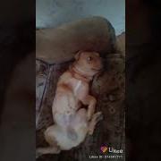 А Теперь Повторяй За Мной Повторяй За Мной Я Ещё Не Начала Адрес О Великие Боги Войны