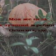 О Небо Голубое Небо