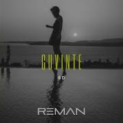 Reman Cuvinte 8D Audio