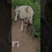 Тебе При Рождении Всевышний Дарует Счастье Твоё