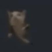 Schnappi Schnappi Schnapp Meme