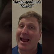 Help Ypurself Meow Meow