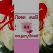 Одинцов В Поцелуях Твоих