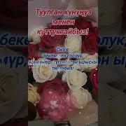 Туулган Күнгө Куттуктоо