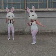 Bunnezz Seng Hab