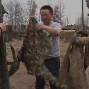 Кусчуттар Дьиикимдэ Дьээбэлэрэ