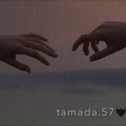 Дашо Хилаг Йог1Уш Ю Шун