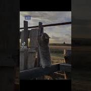 Где Тебе Стало Уютнее