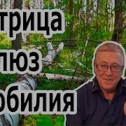 Гаряев Матрица Изобилия