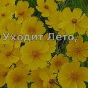 Уходит Лето Не Прощаясь Музыка