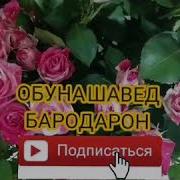 Шаби Чумъа Хона Дори Дуруст Хаст Ё Не Эшони Нуриддинчон