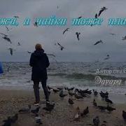 Скажи А Чайки Тоже Плачут Когда Их Море Предаёт