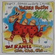 Das Kamel Tanzt Gern Cha Cha Cha