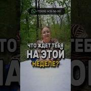 Любовь Васильевна
