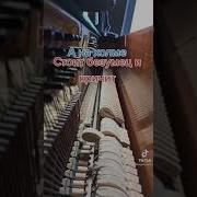Дурак И Молния Тик Ток Ремикс