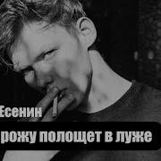 Месяц Рожу Полощет В Луже