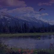 Dynamic Background Music No Copyright