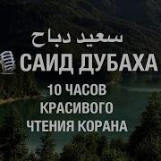 Саид Дубаха Полный Коран