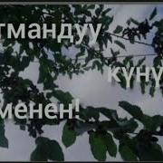 Кутмандуу Кунунуздор Менен