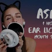 Asmr 1 Hour Ear Licking Mouth Sounds Асмр Ликинг Звуки Рта Лизание Ушей