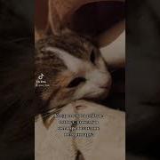 Прикол Васенька Пошла Нахуй